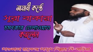 ২০২১ সালের সেরা মায়াবী কন্ঠে চমৎকার কোরআন তেলাওয়াত করলেন || মাওলানা হাফেজ মাসুম বিল্লাহ বি-বাড়িয়া