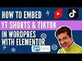 How to Embed Youtube Shorts and TikTok videos in your WordPress site with Elementor Free