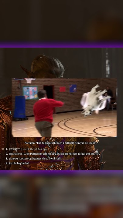 i-must-play-fetch-with-all-of-my-strength-gaming-bg3-baldursgate3