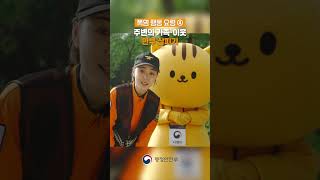 🥵 폭염 6대 행동 요령, 다행이가 알려드릴게요!