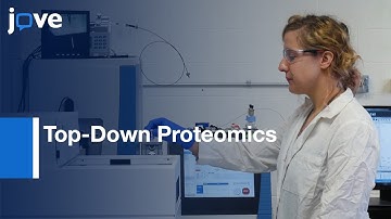 Top-Down Proteomics Using Capillary Zone Electrophoresis Tandem Mass Spectrometry l Protocol Preview