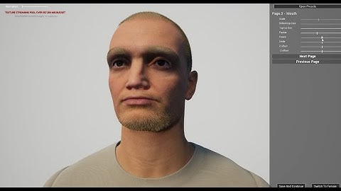 UE 5.1 Meta Human Custom Character Creation With Morph Targets (W.I.P)
