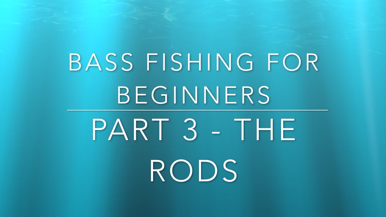 Bass Fishing for Beginners Part 3 The Rods YouTube