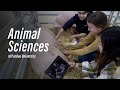 Animal sciences explore the possibilities in purdue agriculture