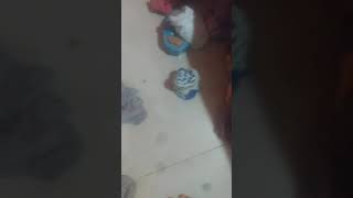 A Maior Bagunça Do Mundo