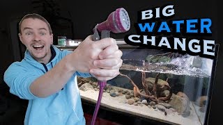 How To Do Water Changes on BIG Aquariums