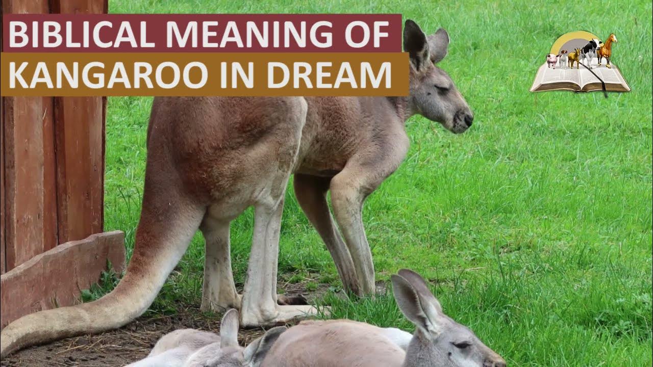 Biblical Meaning of KANGAROO in Dream Find Out The Spiritual Meaning