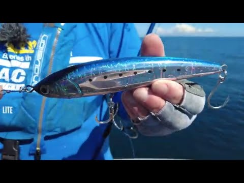 Leurre Flottant Maria Legato F165 50g - Leurre Minnow Avec Rattle Pour Pêche En Mer