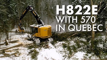 Tigercat H822E Harvester in Quebec