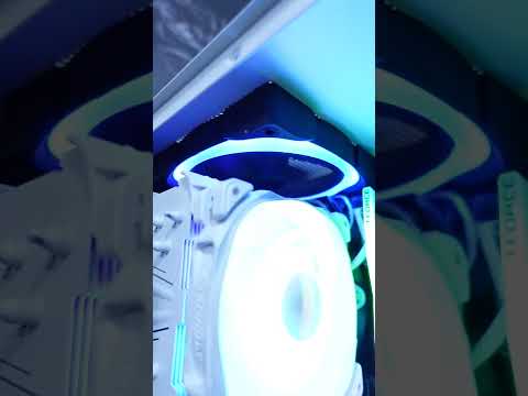 rgb fans not working!?