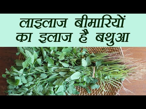 Bathua, बड़ी बड़ी बीमारियों का इलाज है बथुआ | Chenopodium album Health Benefits | Boldsky