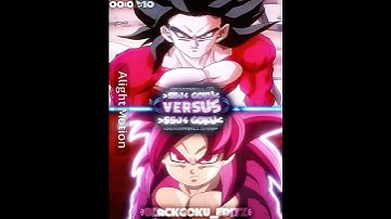 SSJ4 GOKU VS SSJ4 GOKU (daima)