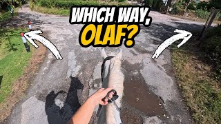 I LET MY HORSE DECIDE WHERE WE WENT…
