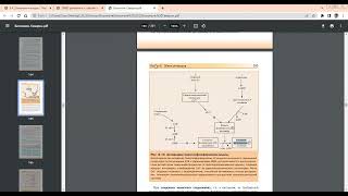 Механизм работы кофеина и адреналина