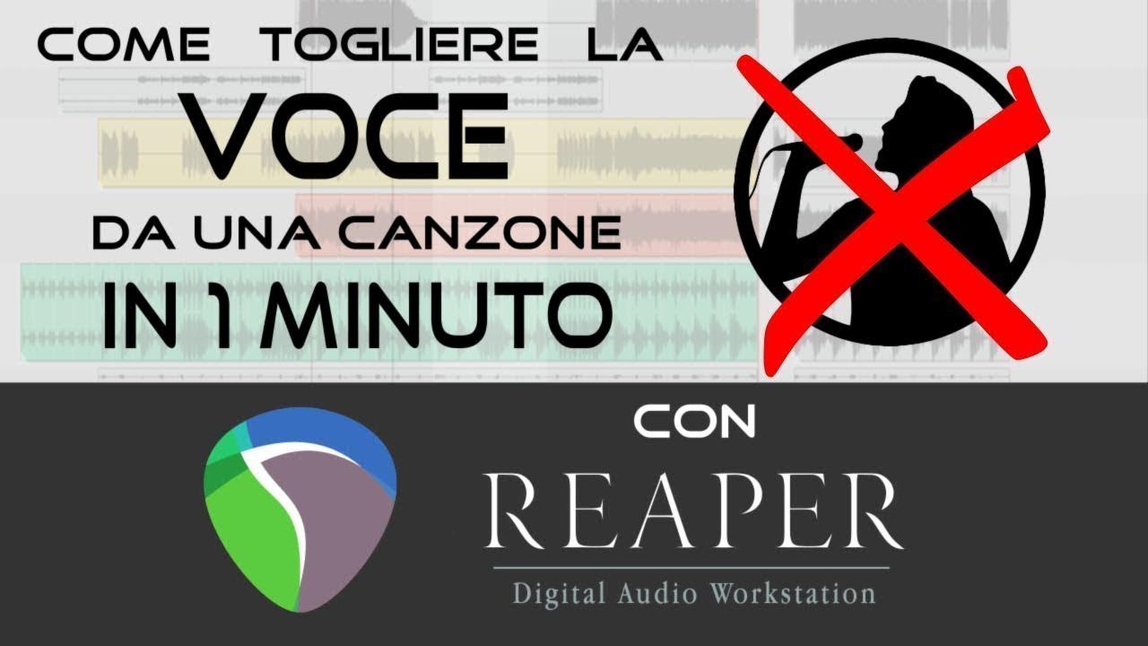 togliere voce da canzone gratis