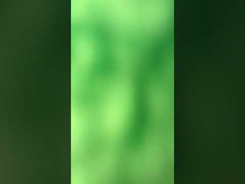 These girls noticed me - YouTube
