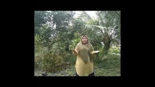 SISTEM BAHASA PADA MASYARAKAT LABUHAN BILIK