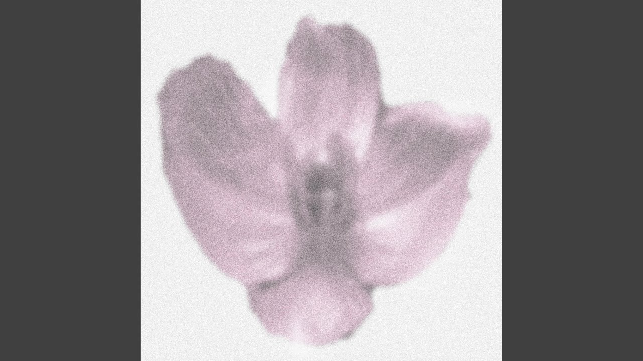 Смотреть «Ballerina» на YouTube