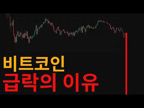 비트코인 급락을 정확히 맞춘 이유