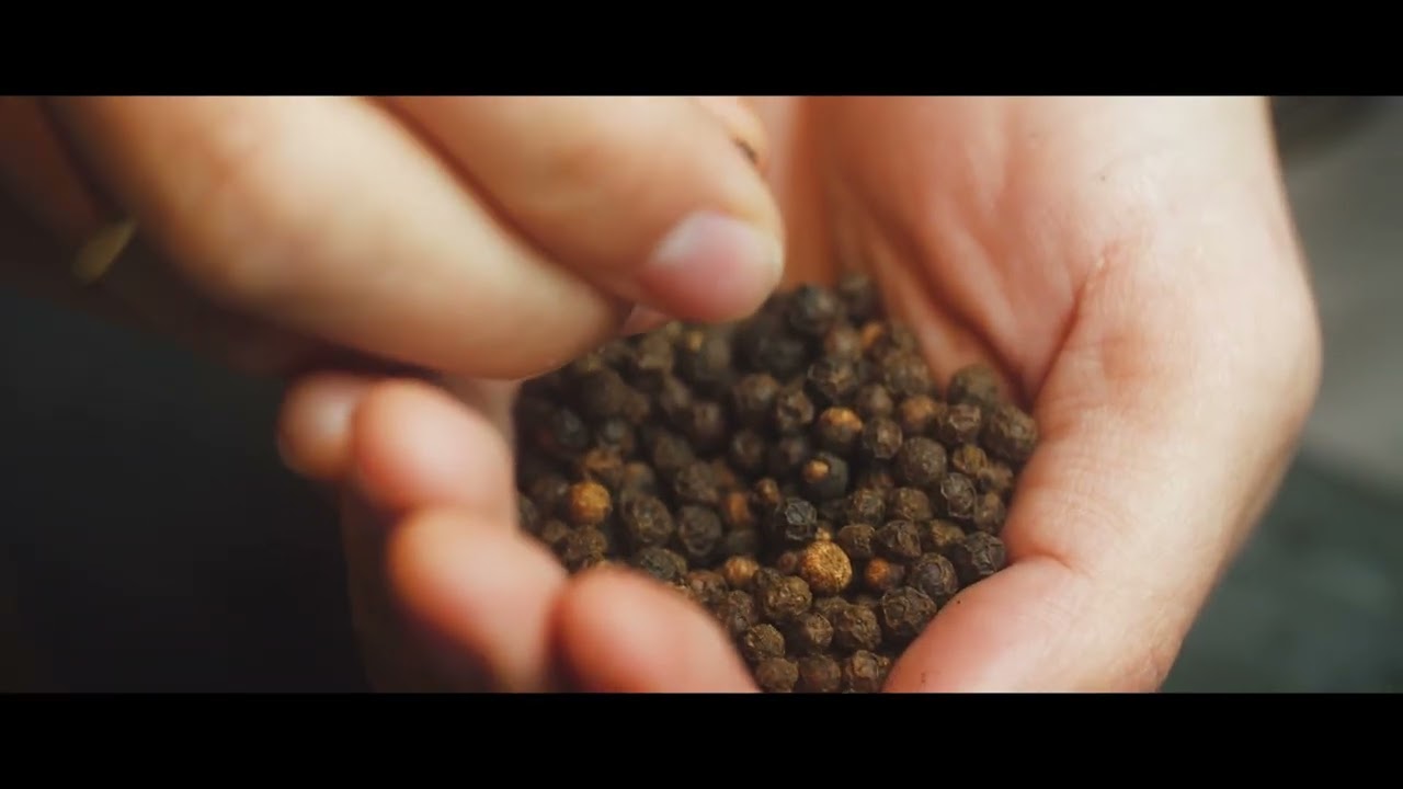 Silk & Spice – “Discovery” | Award-Winning Brand Film 🌍🍷 | 