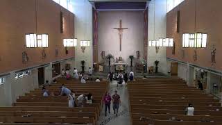 Fourteenth Sunday in Ordinary Time- St. Vincent de Paul Church, Houston,TX 07/05/2026 11:00am