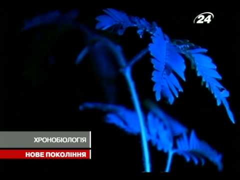 Вчені досліджують біологічний годинник людини на ге...