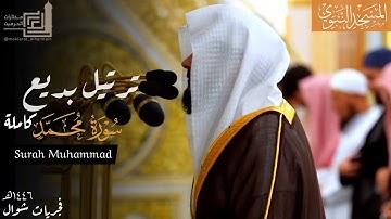 سورة محمد كاملة بترتيل بديع للشيخ د. عبدالله القرافي ~ من فجريات شهر شوال 1446هـ | Surah Muhammad