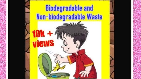 BIODEGRADABLE WASTE AND NON-BIODEGRADABLE WASTE | GARBAGE DISPOSAL | RECYCLE | SEGREGATE | GARBAGE