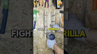 Dont Turn On The Sound, You Cant Help But Listen To It.