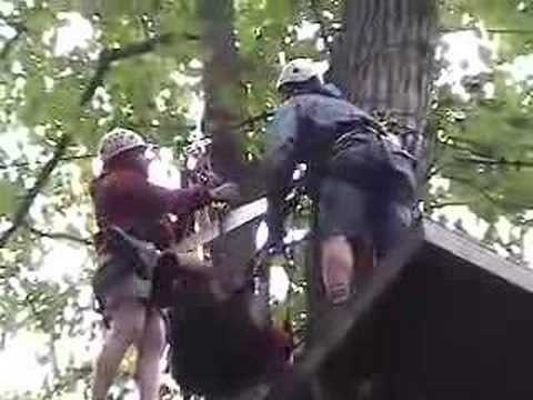 Ropes Course for Physically Disabled - YouTube