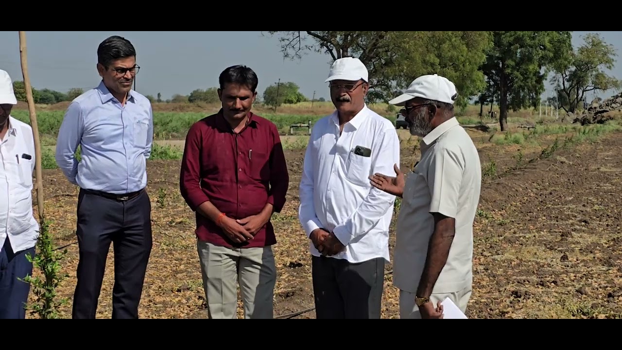 प्रवीण डाळिंब एक खोड तंत्रज्ञान