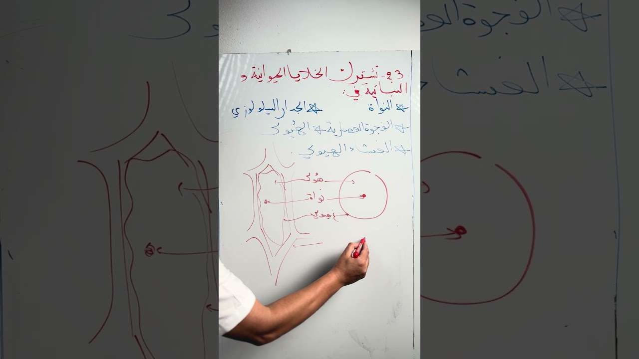 تقويم تشخيصي23 للسنة الرابعة متوسطة علوم طبيعية #زادت_تقويم_تشخيصي_الرابعة_متوسطة