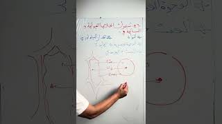 تقويم تشخيصي23 للسنة الرابعة متوسطة علوم طبيعية #زادت_تقويم_تشخيصي_الرابعة_متوسطة