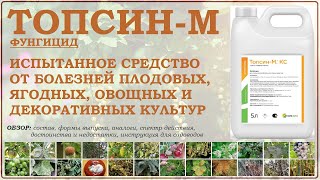 Топсин М - испытанное мощное средство от болезней растений. Обновлённый обзор 2026 года