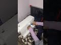 Live highlight