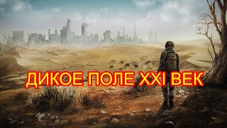 Прямой эфир: Дикое Поле XXI век.