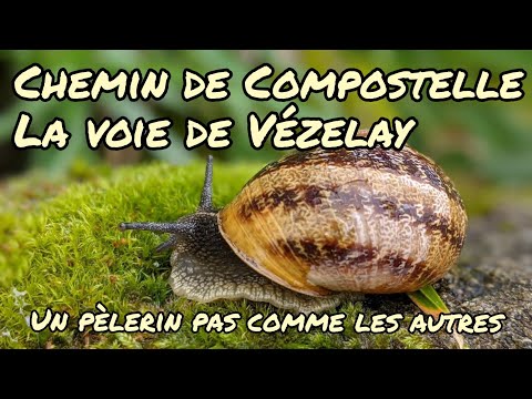 Vézelay 18 : un pèlerin pas comme les autres