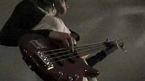 julie - flutter (artifact)