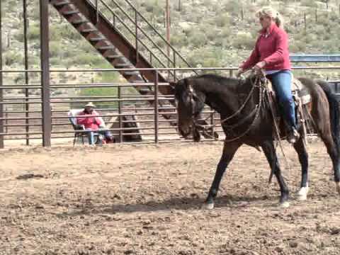 Buck Brannaman Clinic, New River, AZ 2011