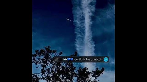 راحة نفسية😴🥀حالات واتس اب قران كريم💙القارئ عبد الرحمن مسعد🌴تلاوة مبكية