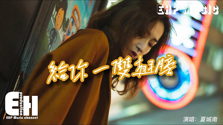 夏城南 - 給你一雙翅膀『你用我給你的翅膀 去向你愛的人身旁，而我在你身後 不聲不響 遍體鱗傷。』【動態歌詞/Vietsub/Pinyin Lyrics】 - 天天要聞