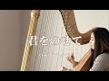 天空の城ラピュタ / 君をのせて【藝大生がハープで演奏】Laputa / Carrying you - Harp cover