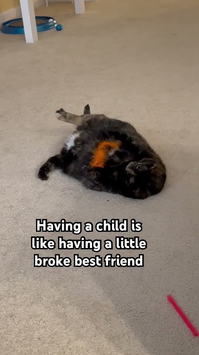 Having A Child Is Like Having A Little Broke Best Friend love funny having-a-child-is-like-having-a-little-broke-best-friend-love-funny