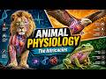 The Intricacies of Animal Physiology (5 Minutes)
