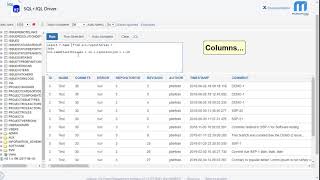 Subversion ALM - SQL+JQL Reporting