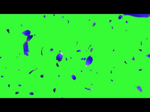 green screen effects adobe premiere pro fire electric particle after fx water world royalty free