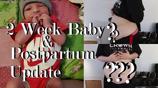 2 Week Baby & Postpartum Update