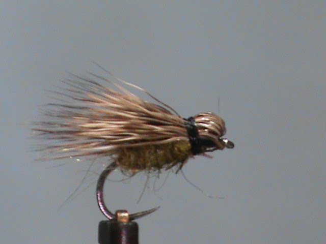 Fly Fishing Chronicles: Wet Fly Tying Feathers (part 2)
