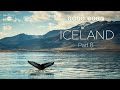 Whale watching in Island - Iceland Road Trip Part 8 | YVISWAY