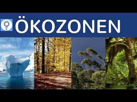 Video: Was sind die Biome auf der Erde?